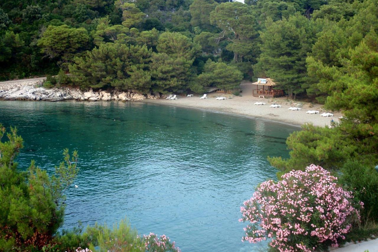 Apartments By The Sea Cove Blaca, Mljet - 4899 Saplunara Luaran gambar