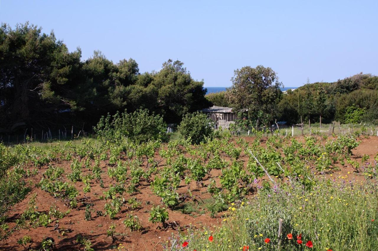 Apartments By The Sea Cove Blaca, Mljet - 4899 Saplunara Luaran gambar